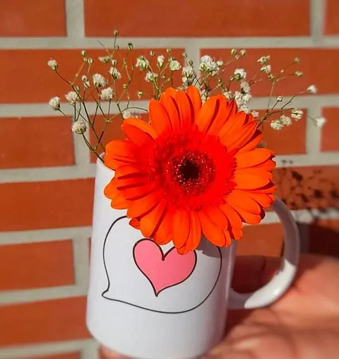 Emocionak Desayunos flores en taza